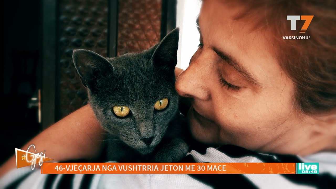 Merita Krasniqi-Selaci interview with T7 news
