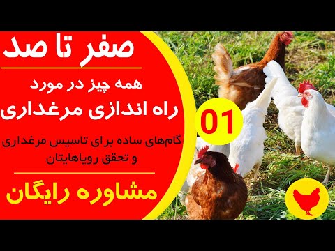 تصویری: نحوه راه اندازی کسب و کار پرورش مرغ (همراه با تصاویر)