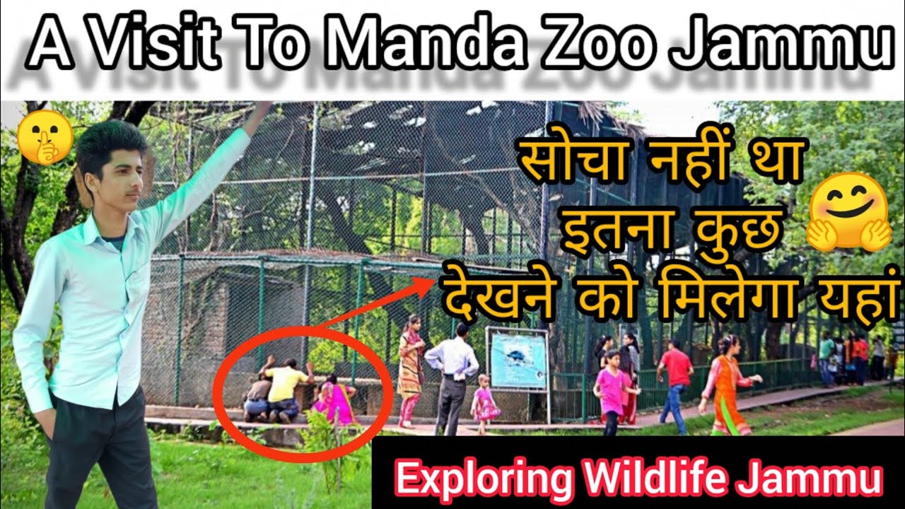 EXPLORING ONE OF THE BEST ZOO IN JAMMU COMPLETE TOUR OF MANDA ZOO