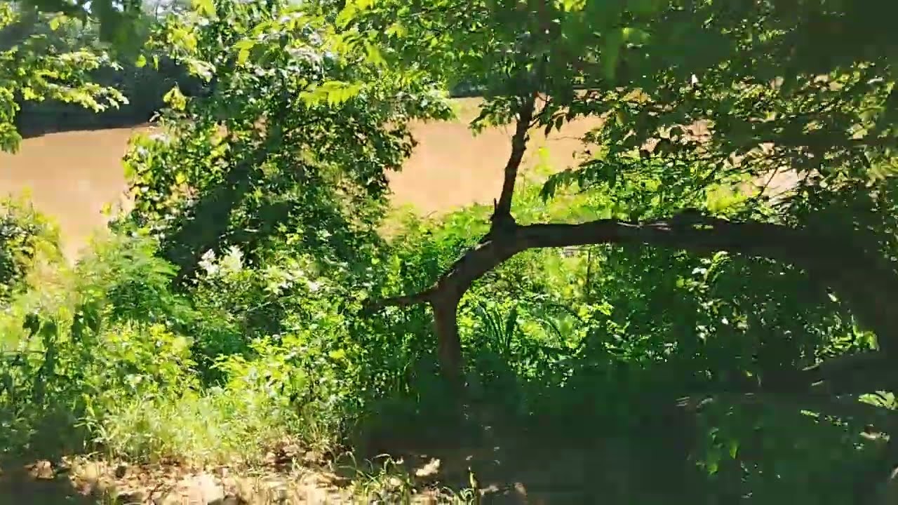 vende-se chácara no Município de Flores de Goiás.