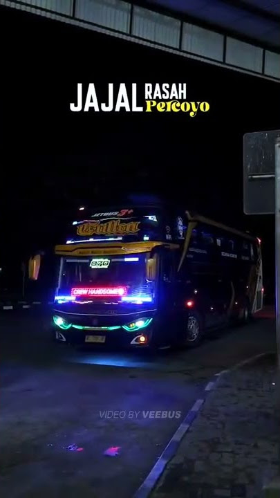 story'wa SATRU, Story wa bus STJ CULLEN #shorts