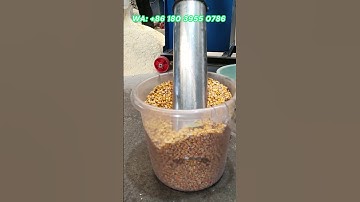 Self-priming crusher for crushing corn and other grains