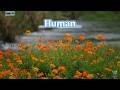 "Human" "No. 73" "Md. Naimul Islam | AI Studio" "Song" "English Song" "Music" "AI Song"