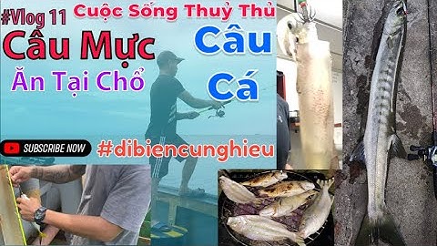 #vlog 11 câu cá biển, Câu mực đêm - Cuộc sống của thuỷ thủ tàu Viễn Dương. #dibiencunghieu #thailand