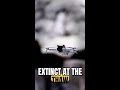 Scientists Just Found Extinct Arctic Mammals We Never Knew Existed #Shorts