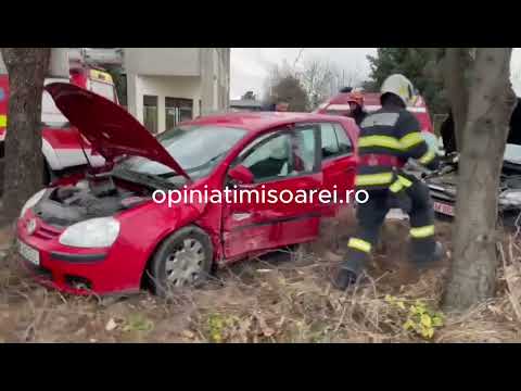 Accident la Timisoara, masini proiectate pe marginea drumului