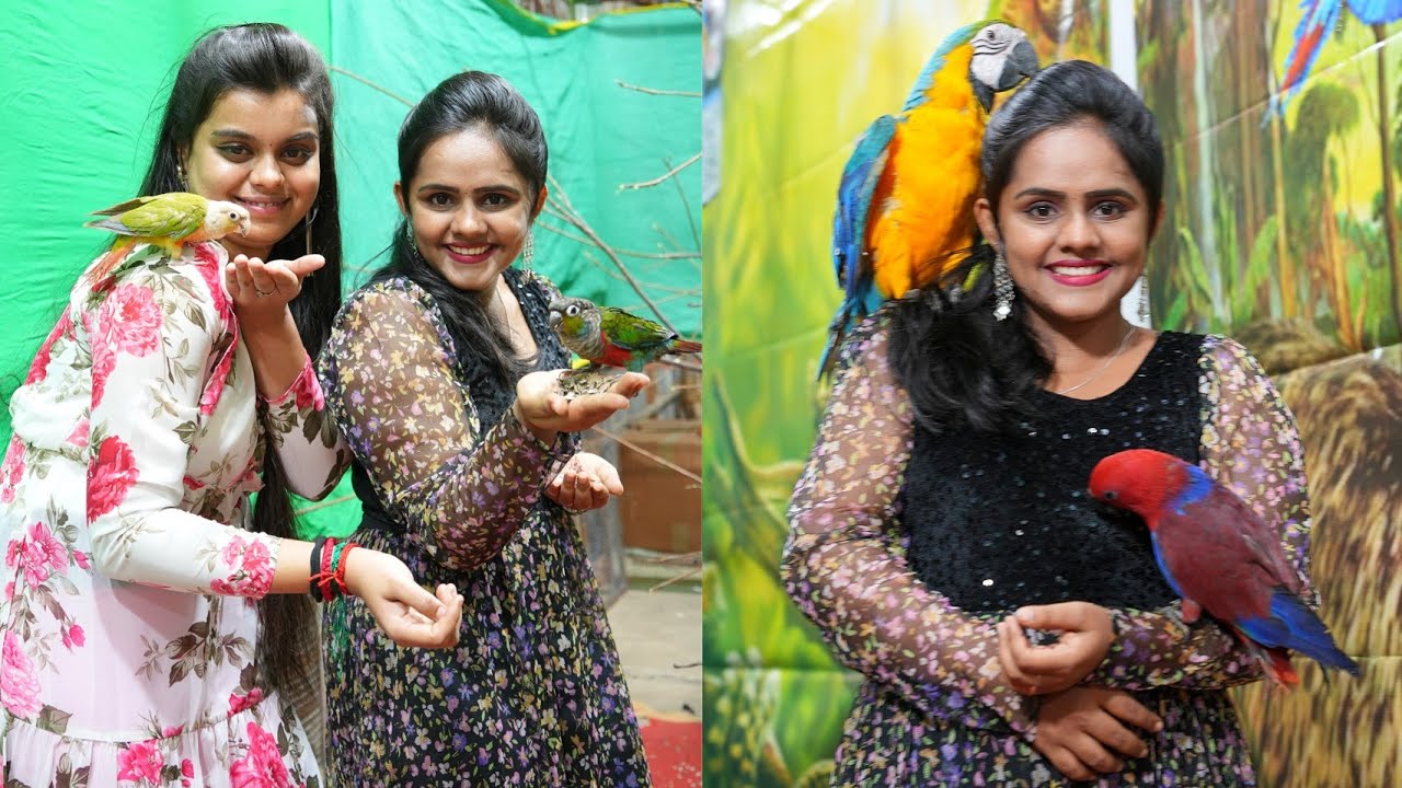 AlCCI Expo Visit| Madha Kovil | Food Challenge | 