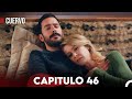 Cuervo Capitulo 46 Doblada En Español 