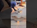 お店にあった10年以上前の高速切断機は今でも買いなのか?! #工具 #建築 #diy #職人 #tools
