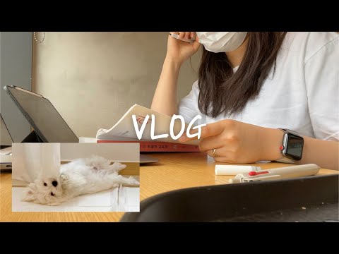 VLOG | 임고생 브이로그 | 돌아온 임고생 일상 😇 | 근데 이제 나무와 함께.. 🐶🤍