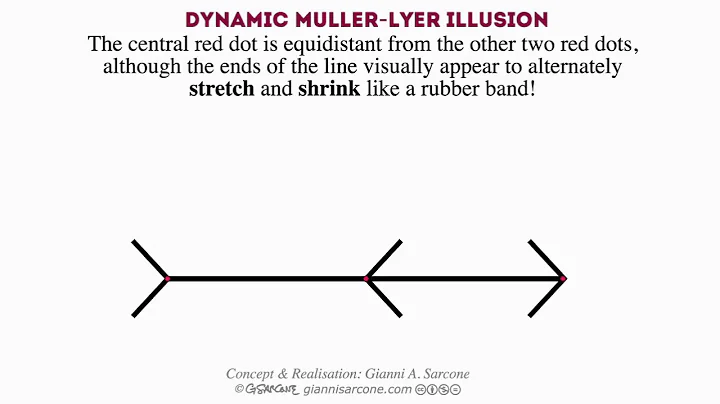Dynamic Mller-Lyer Illusion by Gianni A. Sarcone