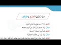قراءة درس حوار بين الاسم والفعل لغتي الجميلة ابتدائي الفصل الثاني رابع التمييز بين الاسم والفعل 