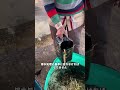 インドの下痢黒糖
