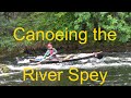 Canoe descent of the River Spey, rapids, bushcraft, lightweight camping & wild foods.