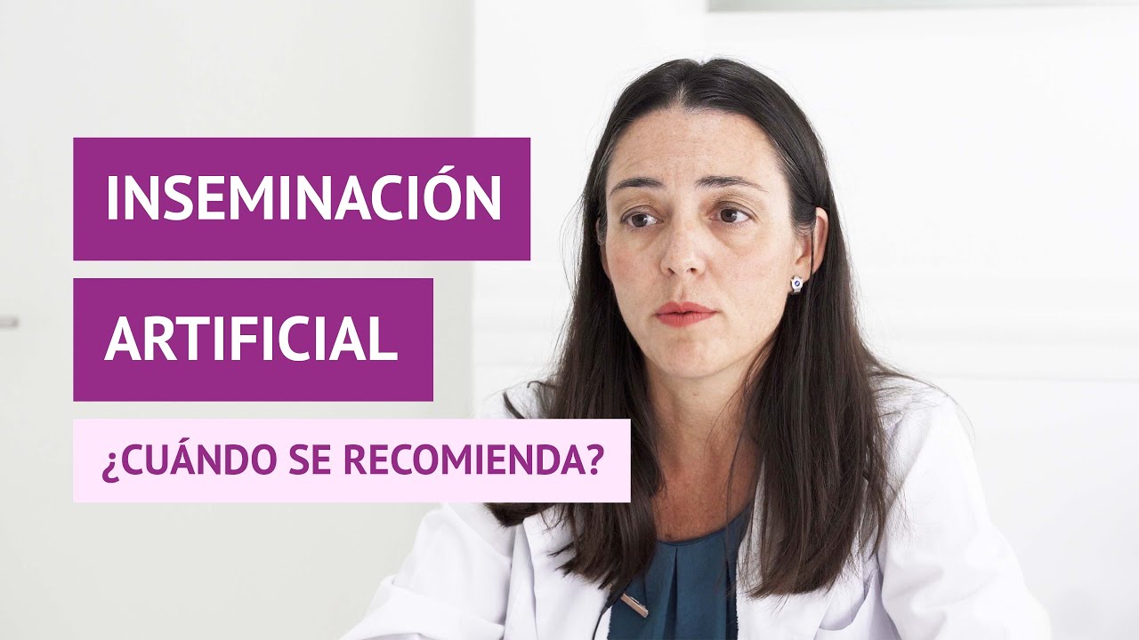 Inseminación artificial casera. Todo lo que debes saber - Blog de  Masquemedicos