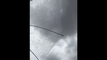 تلاوة هادئة بصوت القارئ: سالم الرويلي 🤍😴