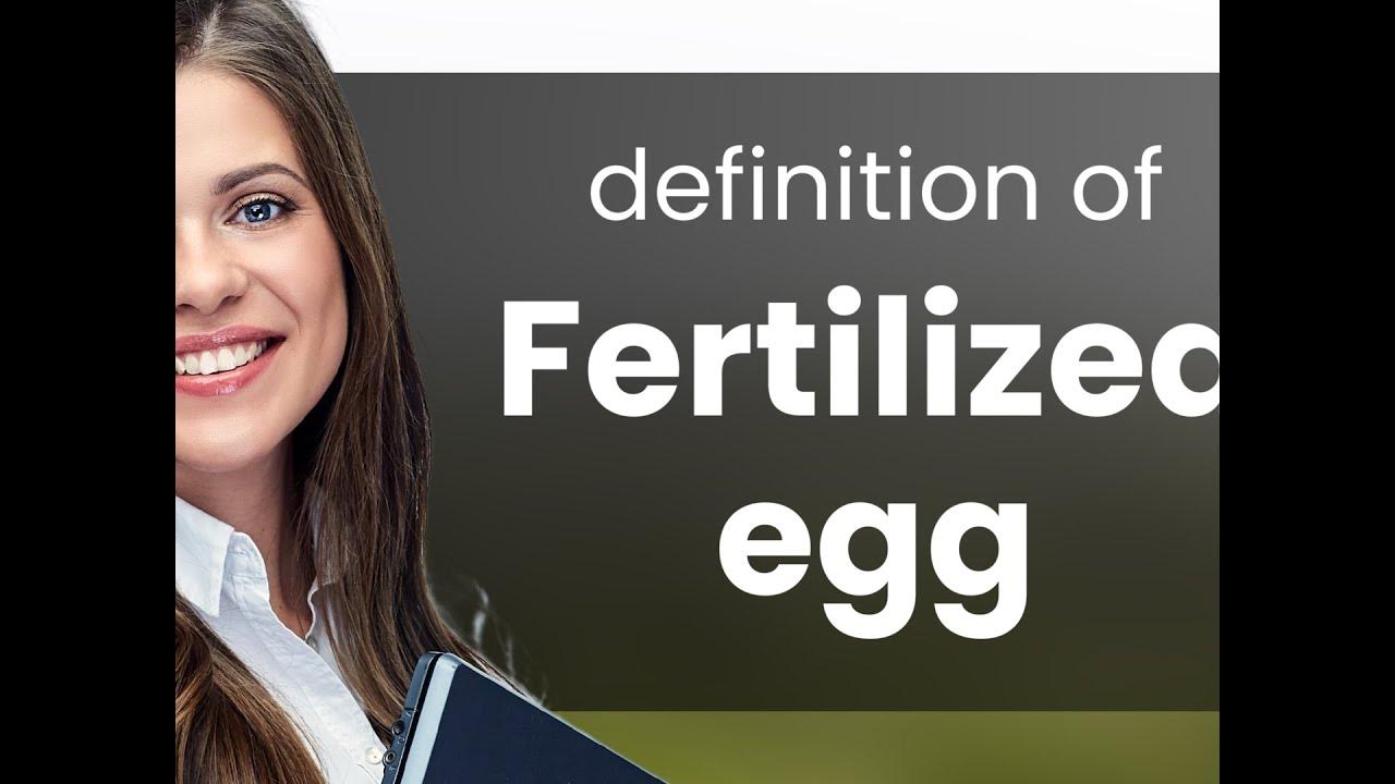 Fertilized egg — definition of FERTILIZED EGG YouTube