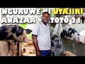 NGURUWE NI UTAJIRI NDANI YA MIEZI 6 TU UNAANZA KUPATA MAMILIONI MMOJA ANAZAA HADI WATOTO 21 NGURUWE NI UTAJIRI NDANI YA MIEZI 6 TU UNAANZA KUPATA MAMILIONI MMOJA ANAZAA HADI WATOTO 21