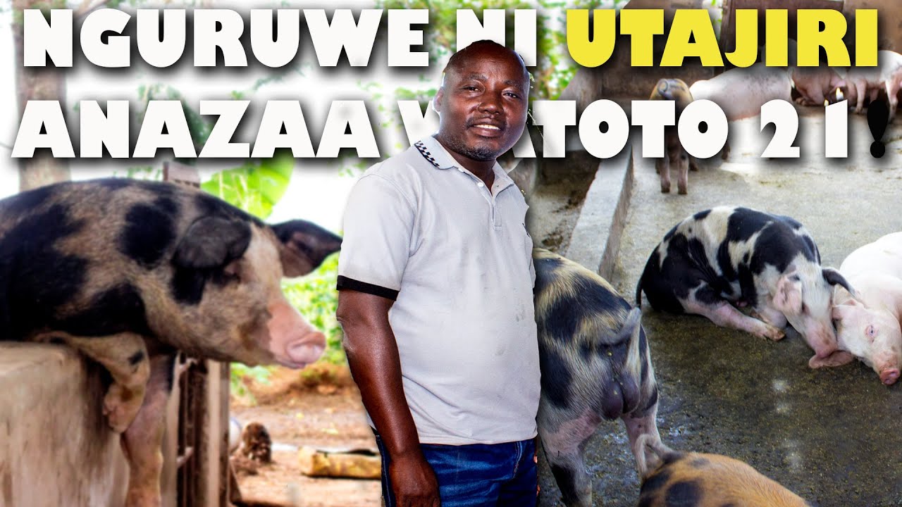 NGURUWE NI UTAJIRI: 