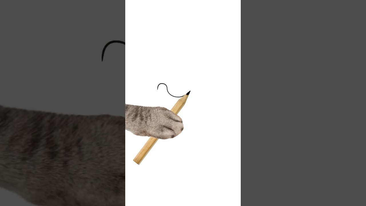 Cat draws a funny ROOSTER 🐓😂 