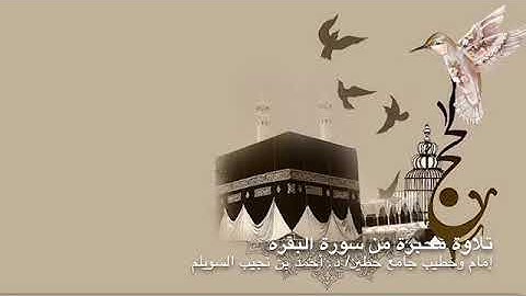 تلاوة محبرةٌ من "سورة البقرة"، لإمام وخطيب جامع حطين/ د. أحمد السويلم