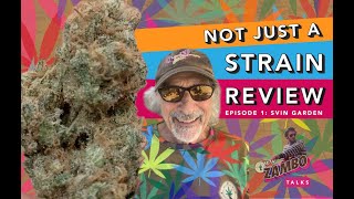 Not Just A Strain Review - Episode 1 - 90 to Zambo Talks
