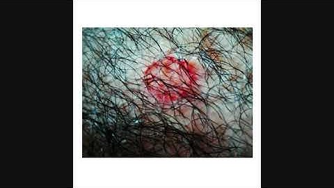 Cult Of Terrorism and Testing Vault - Intro from PROTECTED