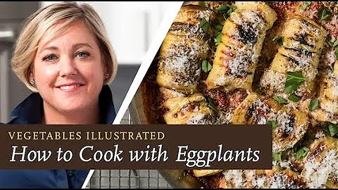 Recipes to Transform Eggplant: A Look into Our Vegetables Illustrated Cookbook - DayDayNews