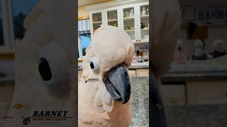 Barney Gets Excited Telling His Stories Our Subled Playlist Has Videos With His Words On Screen