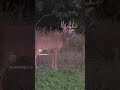 Early Season Doe Hunt Takes an Exciting Turn!  #bigbuck #deerhunting