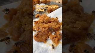 What’s on the menu in the Apiary today? Find out…