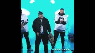 Roman Reigns entrance as a champ 🗿🔥 #wwe #romanreigns #brocklesnar #wwesmackdown #shorts