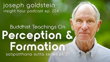 Buddhist Teachings on Perception & Formation with Joseph Goldstein – Insight Hour Ep. 224 (SSS #21)