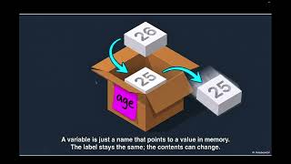 Data Types And Variables( Lesson 2 )