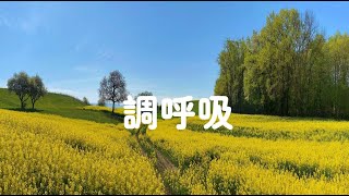 201405 调呼吸30878