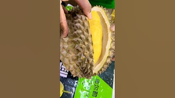 Amazing Durian #durian #fruit #big #yummy #cuttingskills #cuttingfruit #durianfruit #video #viral