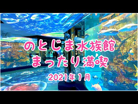 石川県のとじま水族館・まったり満喫【notojima aquarium】