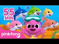 Baby Shark Doo Doo Doo en français | +Comptines Bébé | Baby Shark | Pinkfong ! Chansons pour Enfants