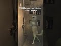يا عيني على الإستحمام