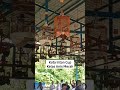 Anis merah masih ramai @Piala kota intan