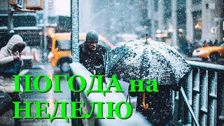 Погода на неделю: в Украину идут потепление и дожди