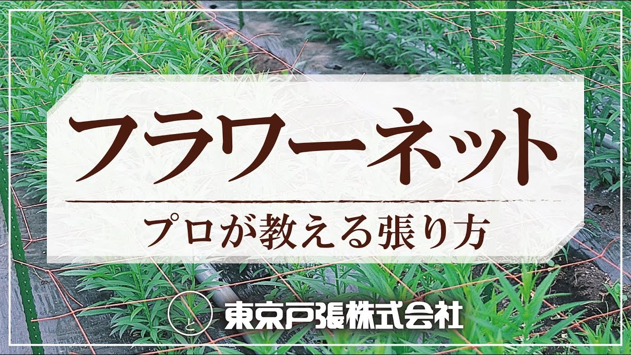 プロが教える！フラワーネットの張り方_東京戸張