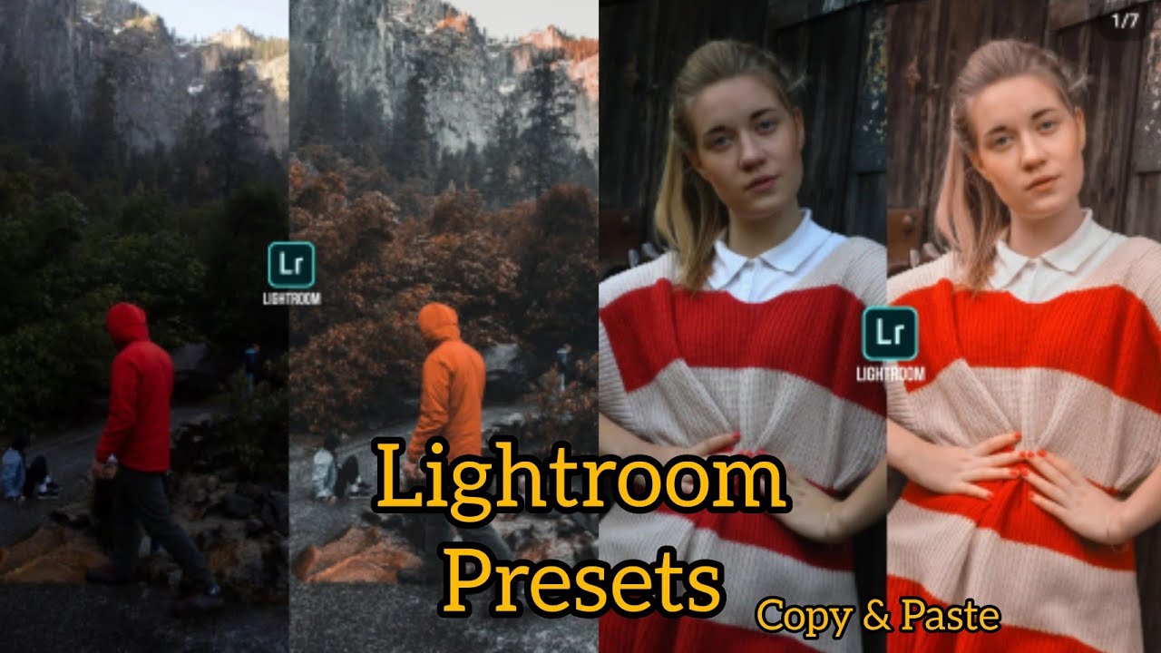 How to copy & paste lightroom presets Lightroom preset copy & paste 