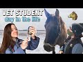 Day in the life of a vet student large animal lab and productive study day
