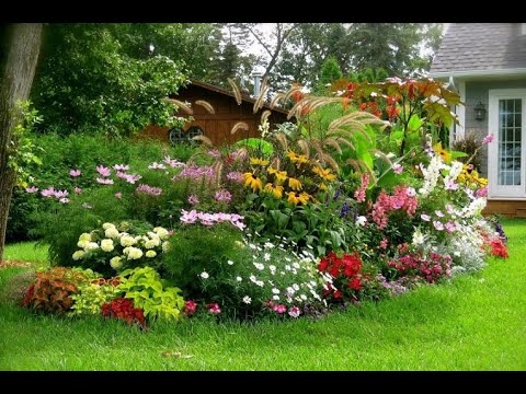 Video: Beds And Mixborders Of Low-growing Flowers