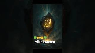 assalam walekum Allah ke liye life process life 🤲🤲🤲🤲🤲🤲💚💚💚💚