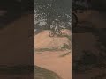 Just some jumps #mtb #bikepark