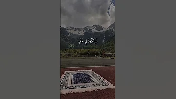 الذين يذكرون الله قياما وقعودا وعلى جنوبهم محمد صديق المنشاوي 
