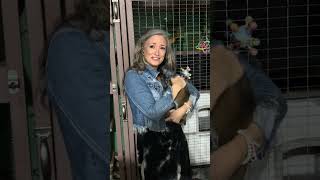 23-Year-Old Declawed/Defanged Kinkajou Sees Her Person for the First Time in 8 Months