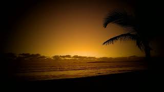 Tears Talk For Me  Soulful Amapiano Visual